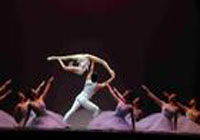 青岛肩上芭蕾表演|力量组合演出案例图片